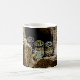Mug Forêt Trois Chouettes