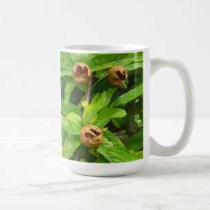 MUG FRUIT MODLAIRE
