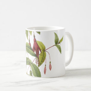 Mug fuchsia écarlate (Fuchsia coccinea) par Redouté