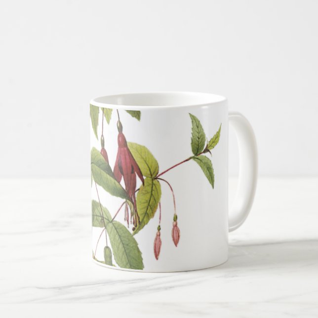 Mug fuchsia écarlate (Fuchsia coccinea) par Redouté (Devant droit)