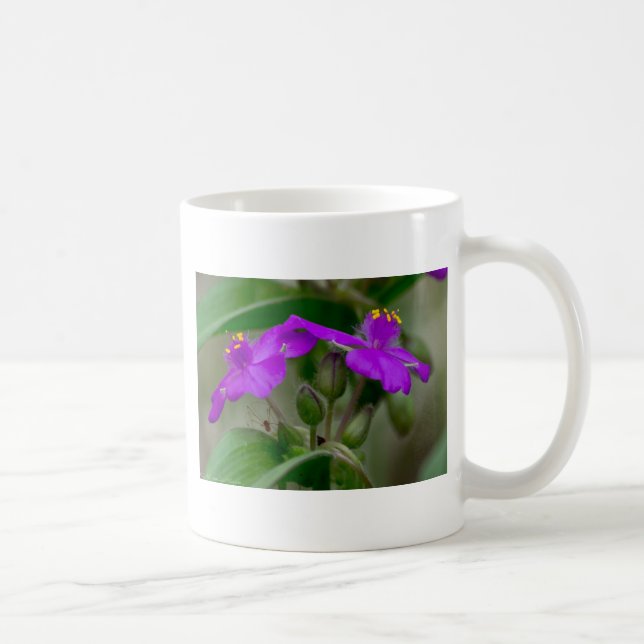 Mug Fuchsia Spiderwort Twins Fleur sauvage Cadeaux Vêt (Droite)