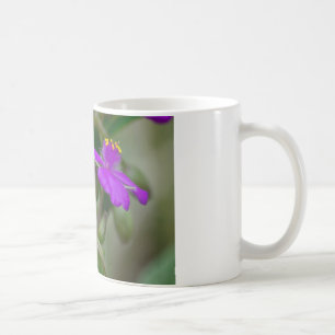 Mug Fuchsia Spiderwort Twins Fleur sauvage Cadeaux Vêt