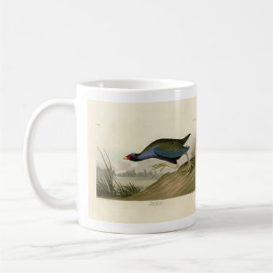 Mug Gallinule violette d'Audubon's Birds of America
