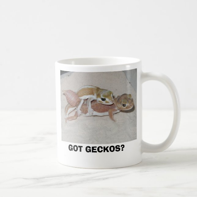MUG GECKOS OBTENUS ? (Droite)