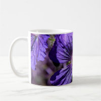 Geranium du jardin pourpre