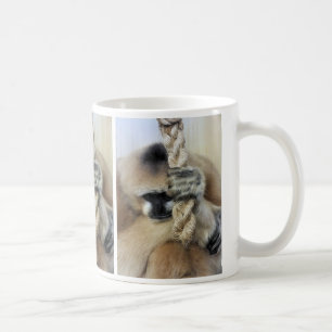 MUG GIBBON