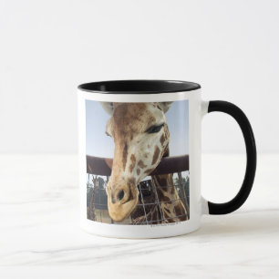Mug Girafe
