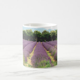 Mug Gisement de lavande - Drome Provencal, France
