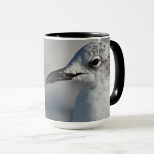 Mug Goéland blanc naturel Floride photo