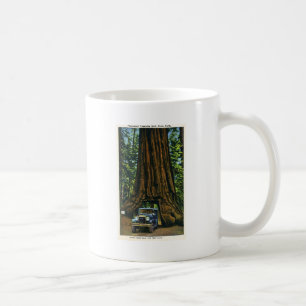 Mug Grand arbre Wawona, verger de Mariposa, CA