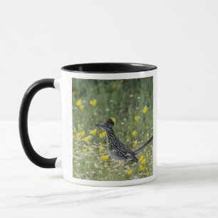 Mug Grand Roadrunner, Geococcyx californianus,