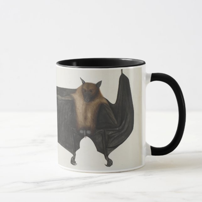 Mug Grande batte de fruit indienne, c.1777-82 (Droite)