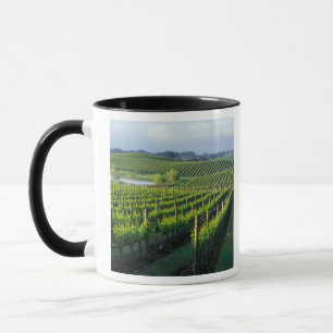 Mug Grapevines en rangées soignées dans la Napa de Cal