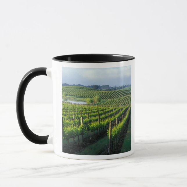 Mug Grapevines en rangées soignées dans la Napa de Cal (Gauche)