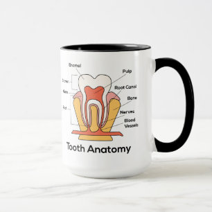 Mug Graphique d'anatomie des dents