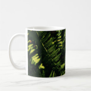 MUG GREEN FERN PLANTE EN FERME PHOTOGRAPHIE