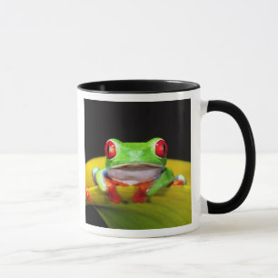 Mug Grenouille aux yeux rouges, Agalychinis callidryas