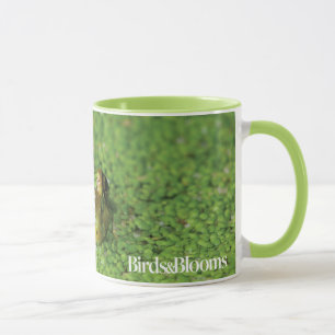 Mug Grenouille dans les algues vertes