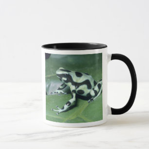 Mug Grenouille flèche, (Dendrobates auratus) Cahuita
