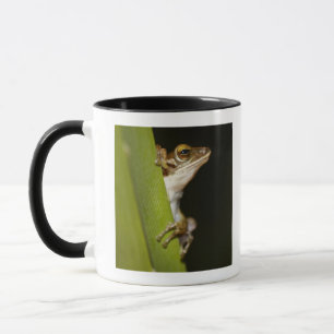 Mug Grenouille sur la feuille dans le profil