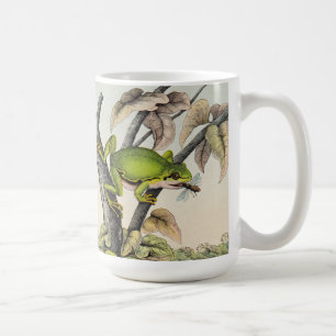 Mug Grenouille vintage et volée