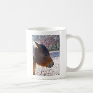Mug Gros plan sur un cheval brun, petit poney brun