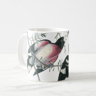 Mug Grosbeak à poitrine rose par Audubon