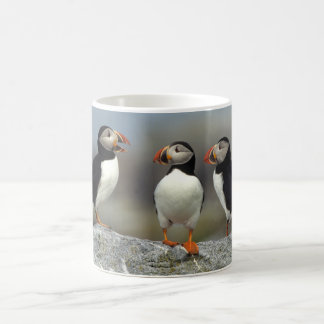 Mug Groupe Macareux de l'Atlantique