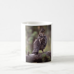 Mug Grouse