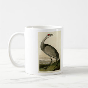 Mug Grue de Sandhill d'Audubon's Birds of America