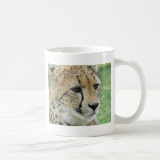 Mug Guépard