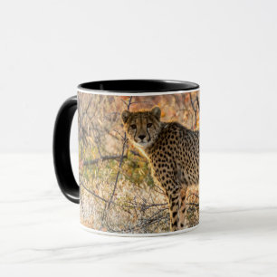Mug Guépard regardant autour