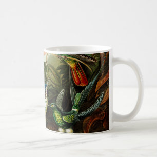 Mug Haeckel Hummingbirds
