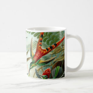 Mug Haeckel Hummingbirds