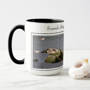 Mug Harbour Seals, Island Beach State Park