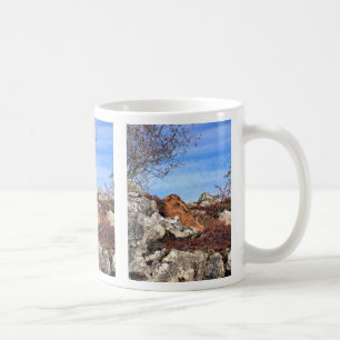 MUG HARE DE MONTAGNE