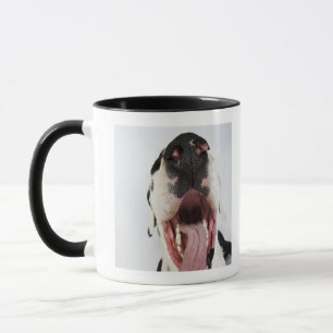 Mug Harlequin great dane avec la bouche ouverte, plan