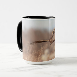 Mug Harrier du Nord