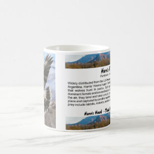 Mug Harris colportent le pastel
