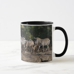 Mug Herd Zebra dans le cadre naturel Cadeau intérieur 