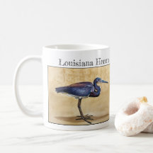 Héron de Louisiane (Egretta tricolor)