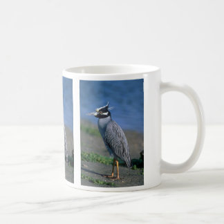 Mug héron de nuit Jaune-couronné