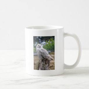 Mug Hibou des neiges