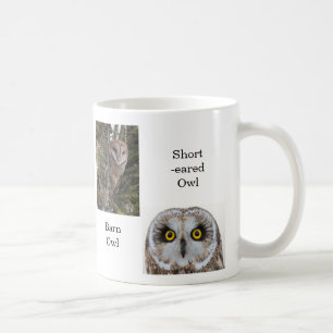 Mug Hiboux