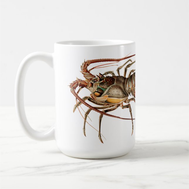 Mug Homard de roche - Panulirus Regis (Gauche)
