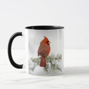 Mug Homme du Cardinal du Nord sur le Cèdre du Blue Atl