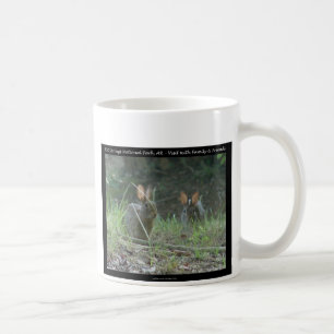 Mug Hot Springs National Park, AR Wild Rabbits Cadeaux