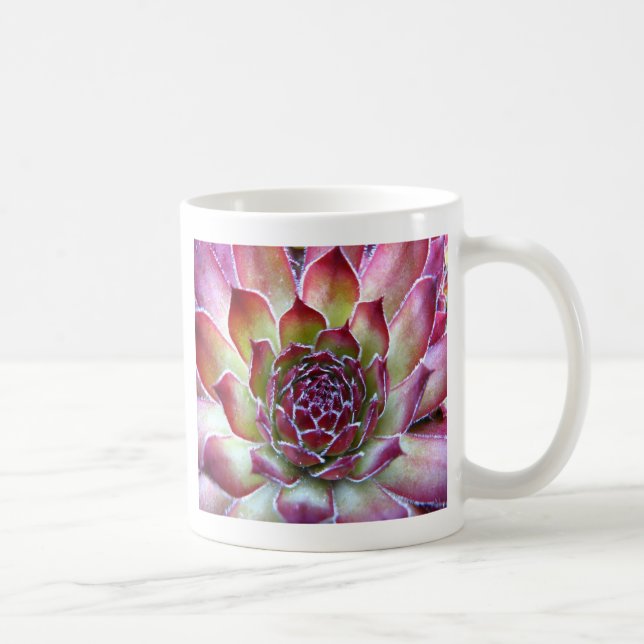 Mug houseleek (Droite)
