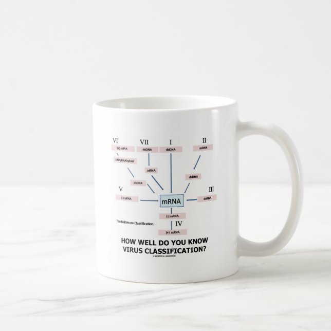 Mug How Well Do You Know Virus Classification ? (Droite)
