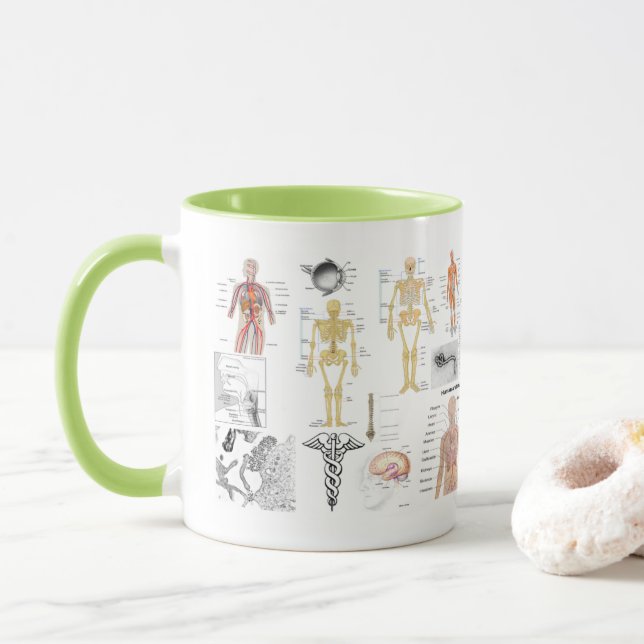 Mug Human Anatomy Charts (Avec donut)